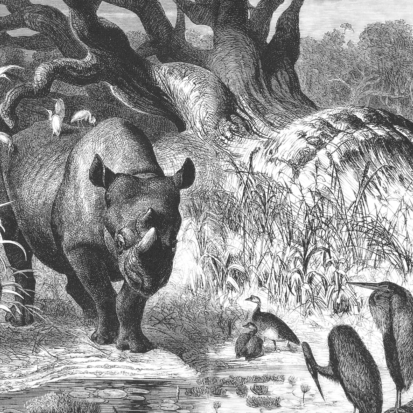 Le Rhinoceros Jungle wall hanging