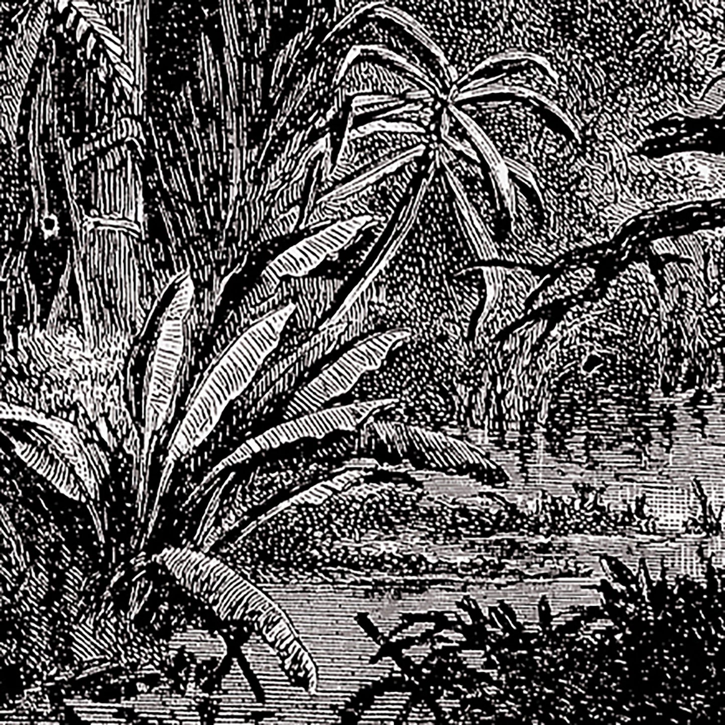 Amazon Rainforest Jungle Textile wallhanging