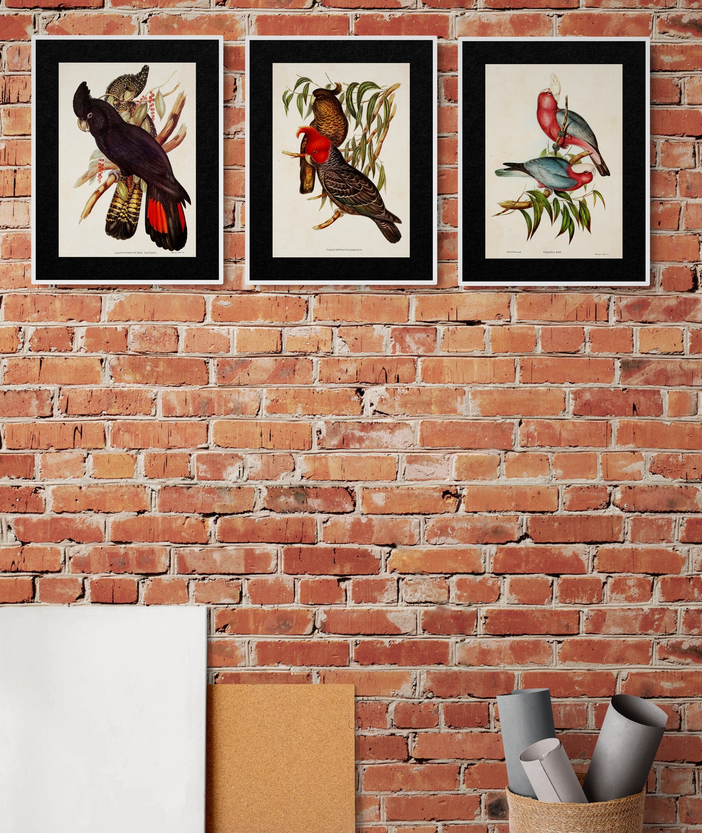 Funeral Cockatoos Poster