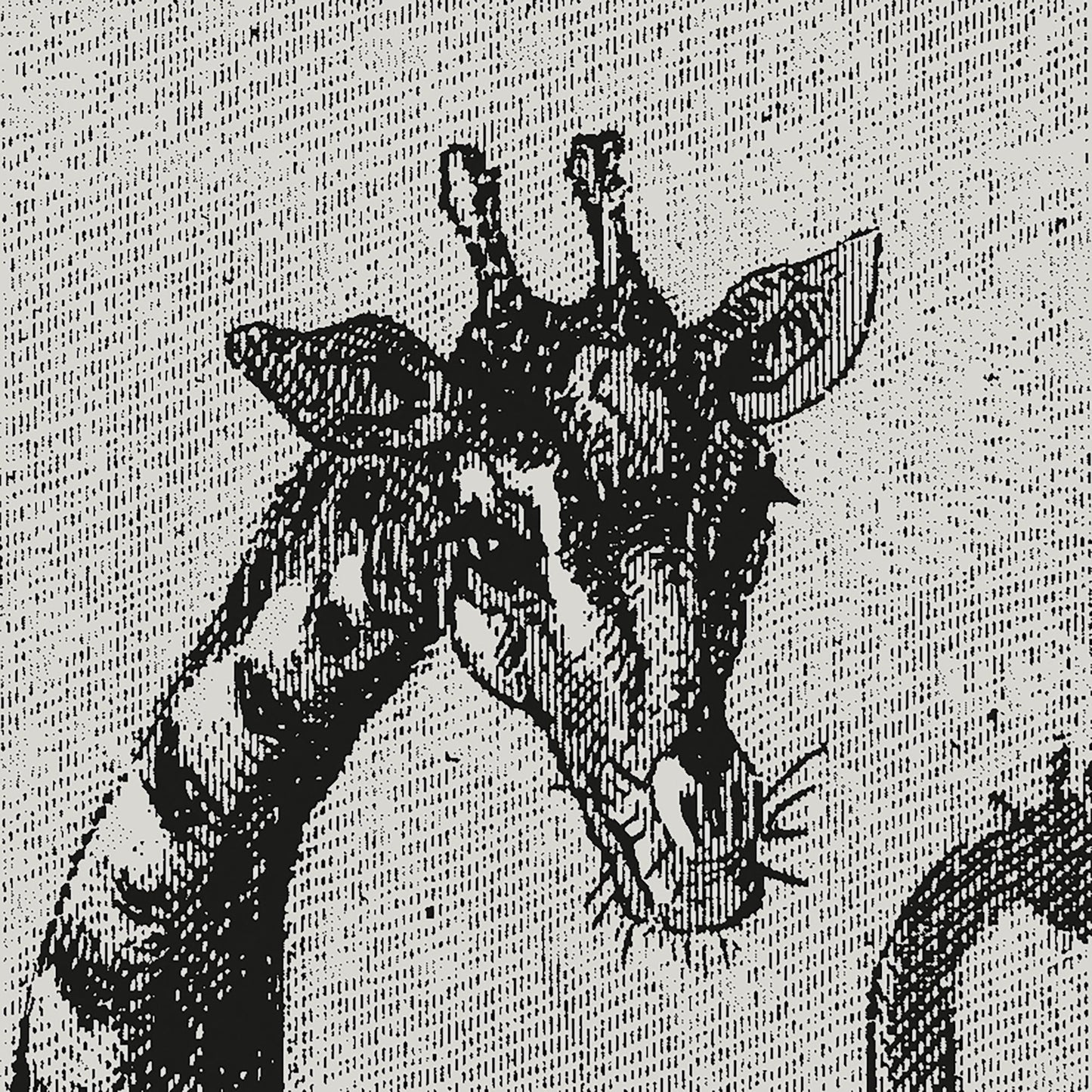 Les Giraffes Jungle wall hanging