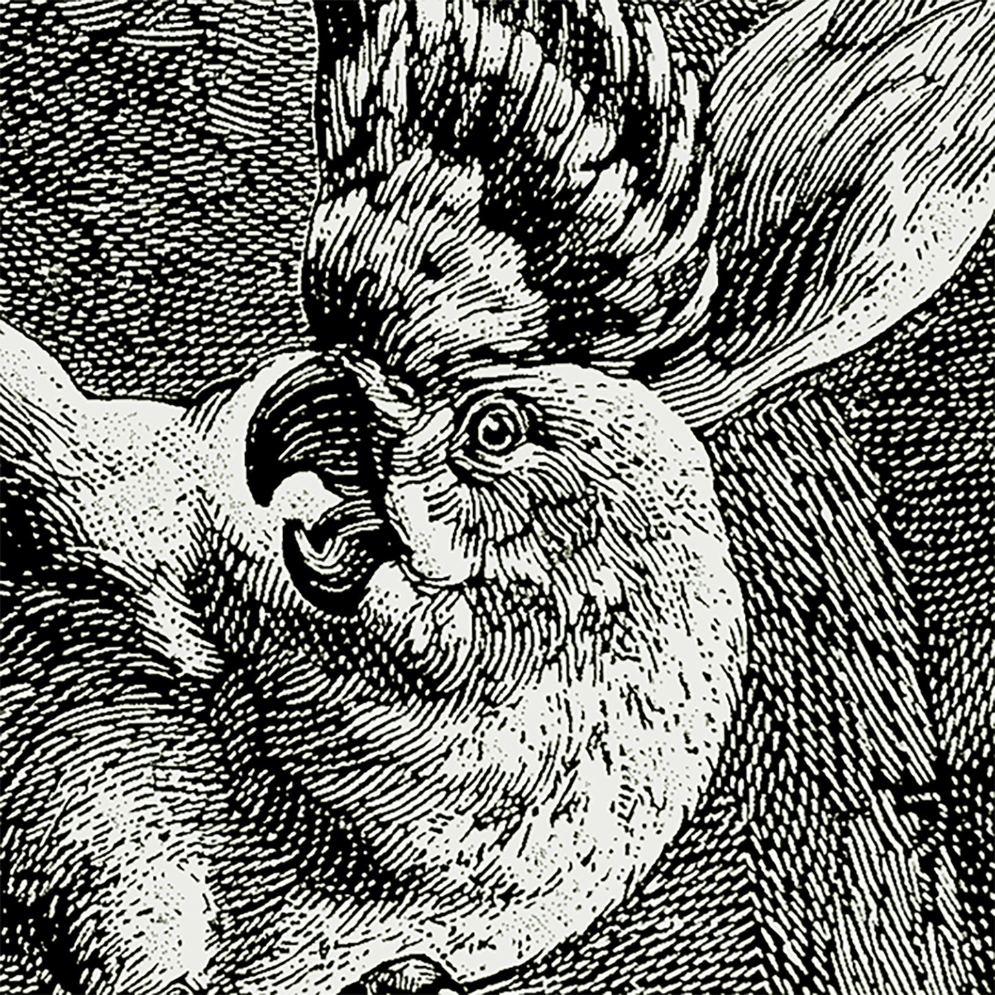 Cacatoo Jungle wall hanging