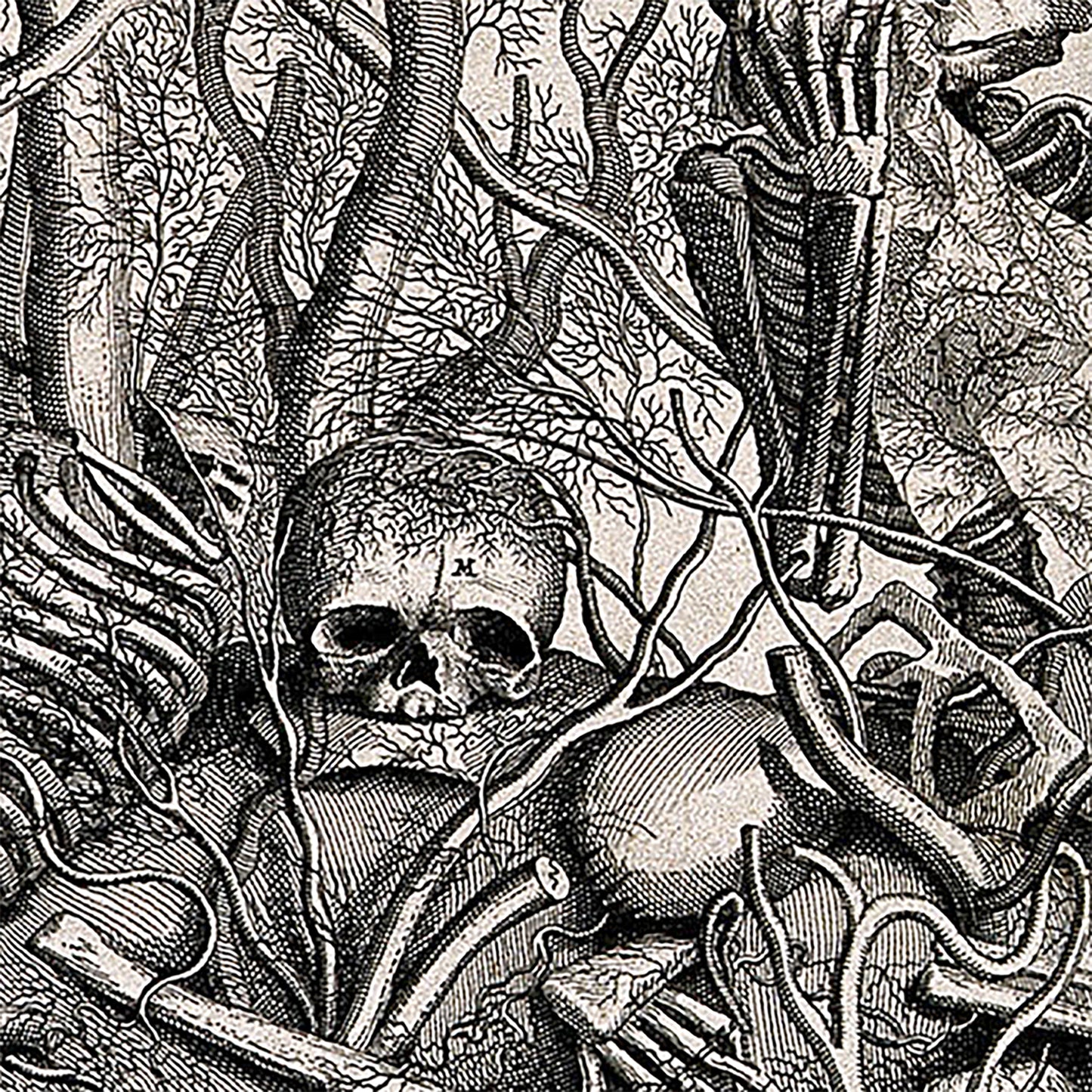 Anatomy tableau textile wall hanging