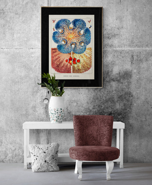 A Great Barrier Reef Anemones Poster