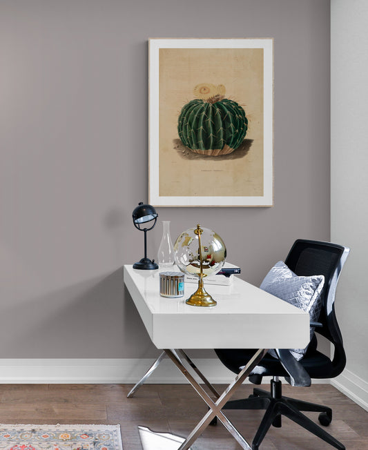 A Yellow flowering Cactus (Echinocactus Sellowianus) Poster