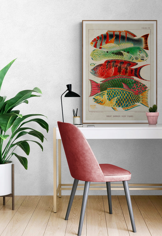 A Great Barrier Reef Fishes Poster