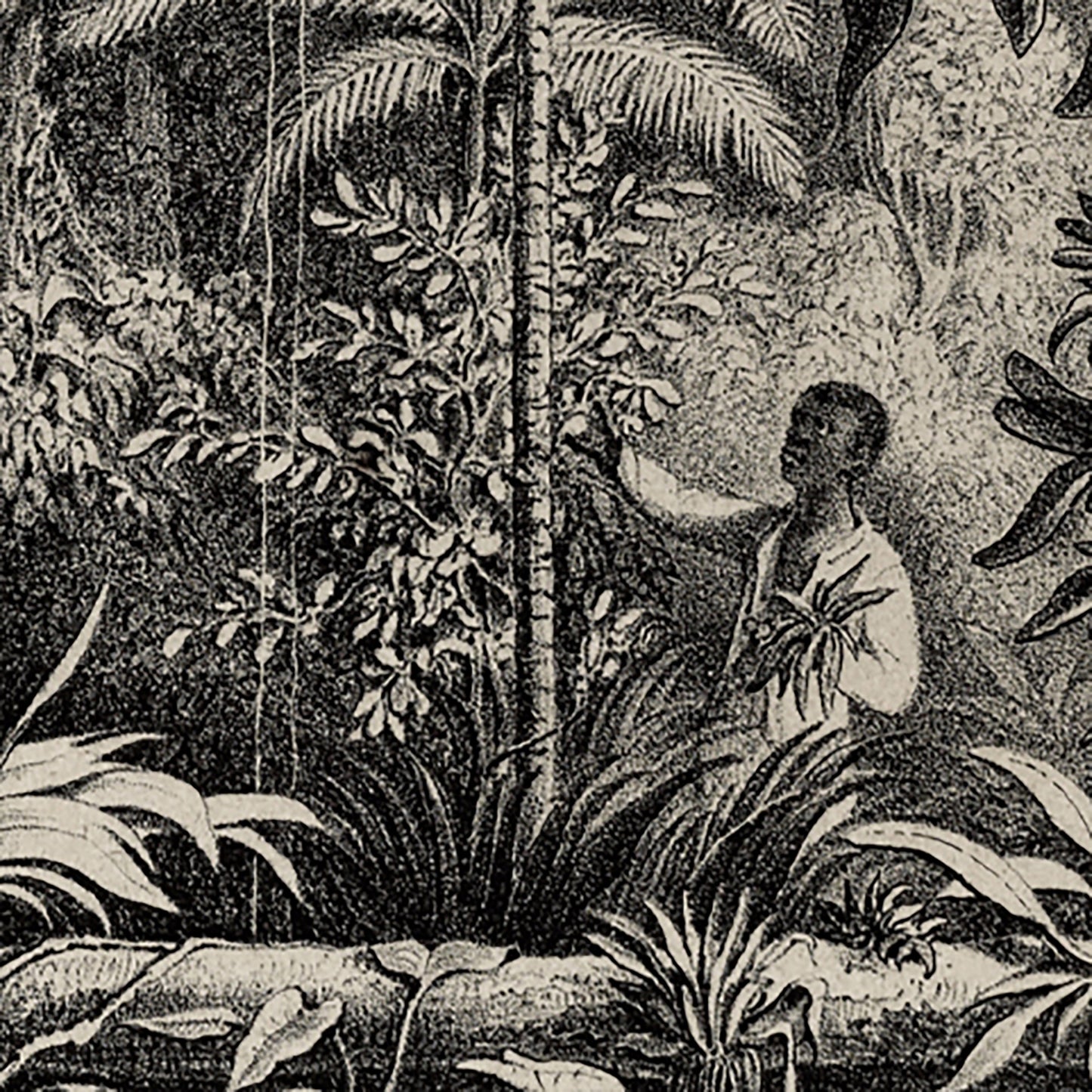 Tenture murale de la forêt tropicale d'Amérique du Sud