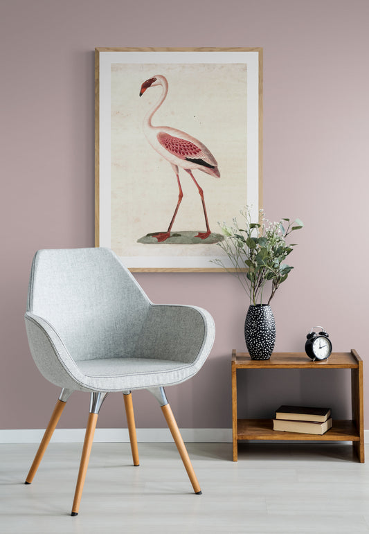 Phoeniconaias minor, Pink Flamenco Poster