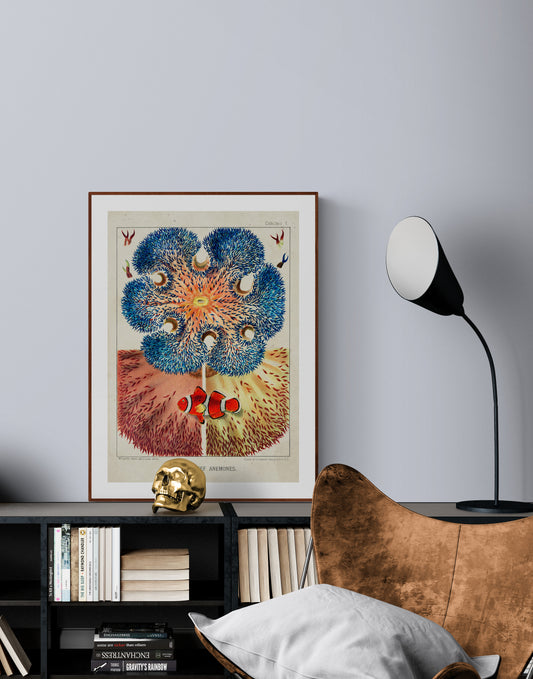 A Great Barrier Reef Anemones Poster