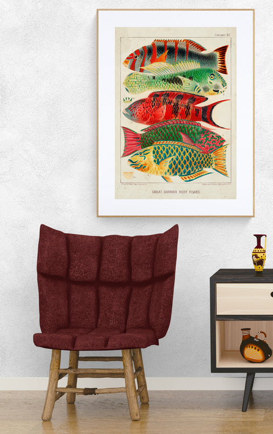A Great Barrier Reef Fishes Poster
