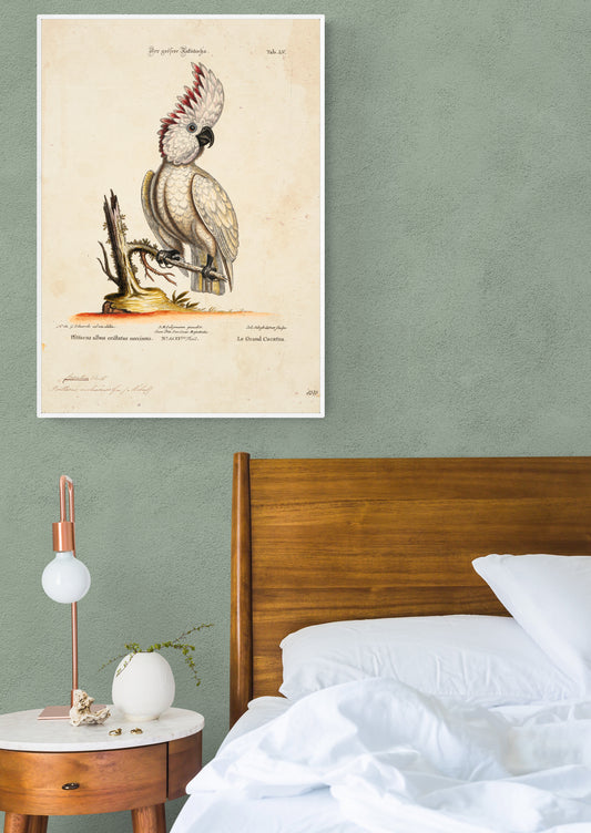 The Big Cockatoo Poster