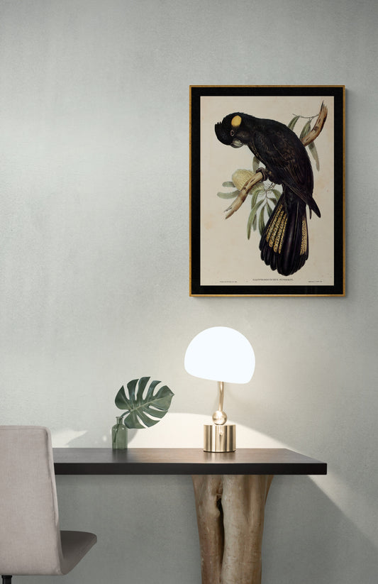 Funeral Cockatoos Poster