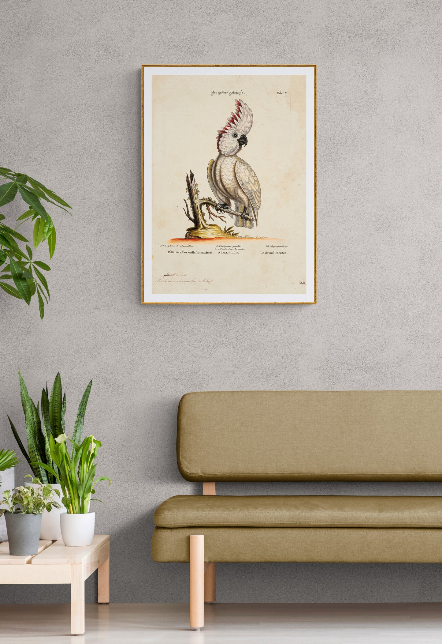 The Big Cockatoo Poster