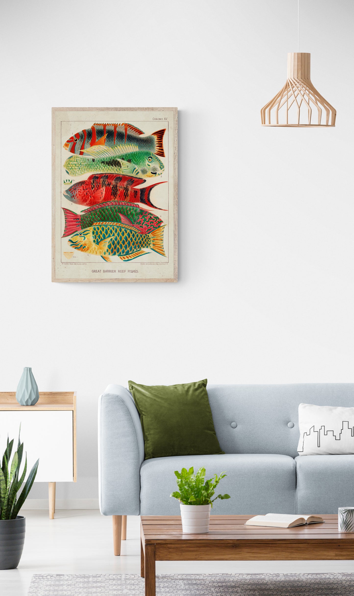 A Great Barrier Reef Fishes Poster